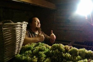 Виноробня Don Alejandro Winery